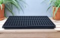 wd-20x286-dpt3-2.jpg