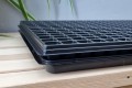 wd-20x286-dpt3-4.jpg