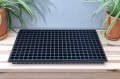 wd-20x286-3.jpg