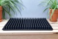 wd-20x286-5.jpg