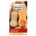 Dynia PIŻMOWA Butternut nasiona warzyw 2g