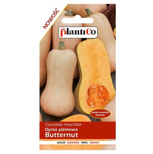 Dynia PIŻMOWA Butternut nasiona warzyw 2g