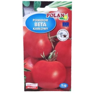 Pomidor BETA - karłowy bardzo wczesny bez palikowania - nasiona Polan 1g