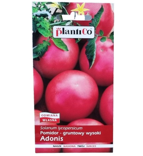 pomidor-adonis-1.jpg