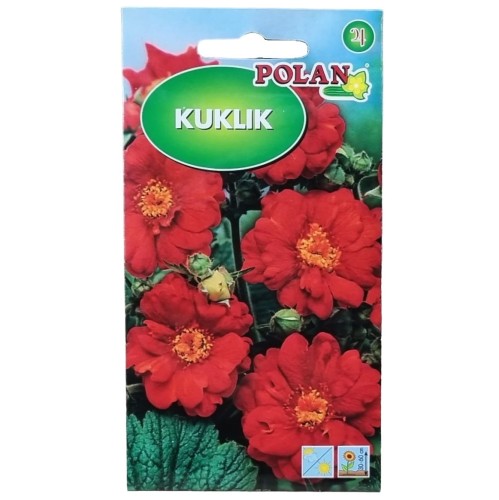 kuklik-polan-1.jpg