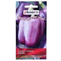 papryka-fioletowa-plantico-1.jpg
