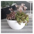 Doniczka osłonka storczyka MISA COUBI ORCHID BIAŁA