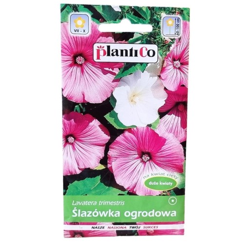 ślazówka-1.jpg
