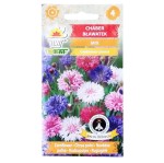 CHABER BŁAWATEK MIX - nasiona Toraf 2g, mieszanka kolorów