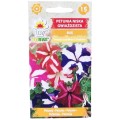 petunia-gwiaz-1.jpg