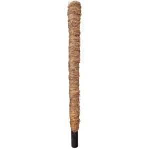 PALIK KOKOSOWY tyczka podpora pnączy GRUBY 50cm