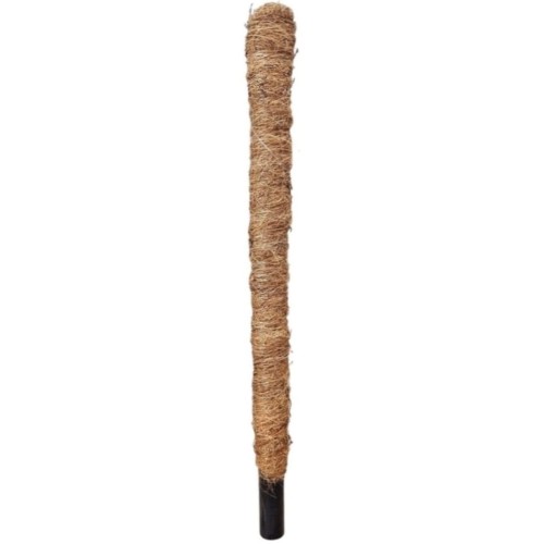 palik-50-gruby-1.jpg
