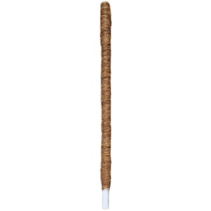 PALIK KOKOSOWY 100cm GRUBY - tyczka do roślin, podpora do pnączy