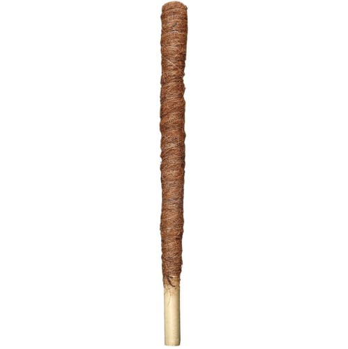 palik-kb-50gr-1.JPG