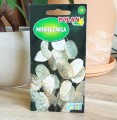 miesiecznica-polan-2.jpg
