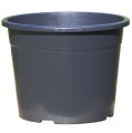 d-46-ok-1.JPG