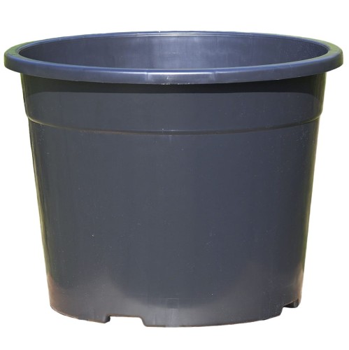 d-46-ok-1.JPG