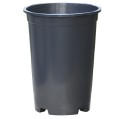 d-do-roz-18cm4l-1.JPG