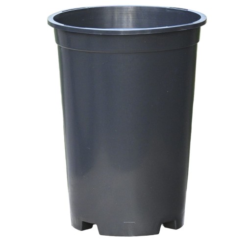 d-do-roz-18cm4l-1.JPG