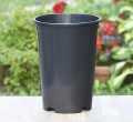 d-do-roz-18cm4l-2.JPG