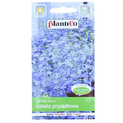 lobelia-niebieska-plantico-1.JPG