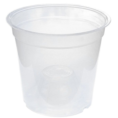 DONICZKA do uprawy STORCZYKA transparentna 17cm