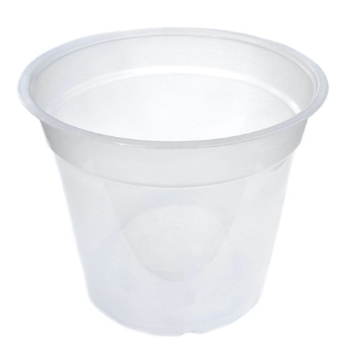 DONICZKA do uprawy STORCZYKA transparentna 15cm