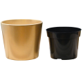 d-perlowe-zloto-19-wklad-1.png