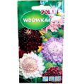 wdówka-polan-1.png