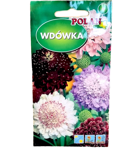 wdówka-polan-1.png