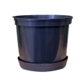 d-22-5l-p-lofly19-1.png