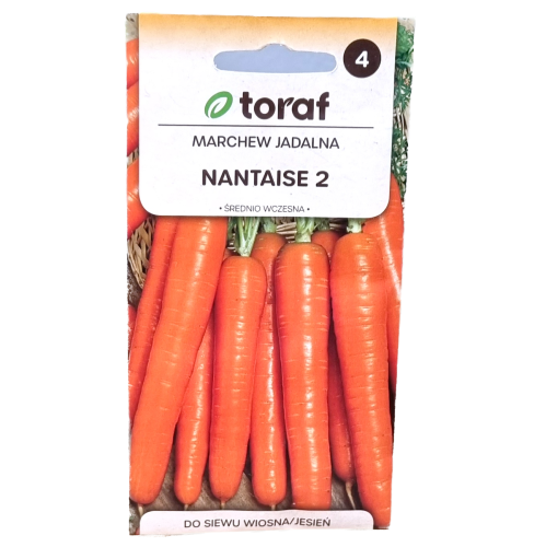 marchew-nanteise-1.png