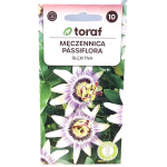 MĘCZENNICA BŁĘKITNA nasiona Toraf 0,2g - Passiflora biało-niebieska