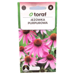 Jeżówka purpurowa - Echinacea purpurea - ciemno-różowa - nasiona Toraf 1g