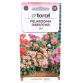 pelargonia-rabatowa-1.png