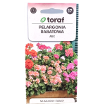 Pelargonia rabatowa mix kolorów - Pelargonium zonale - 25 nasion - Toraf