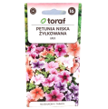 petunia-żyłkowana-1.png
