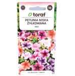 PETUNIA ŻYŁKOWANA ogrodowa niska MIX kolorów - nasiona Toraf 0,1g