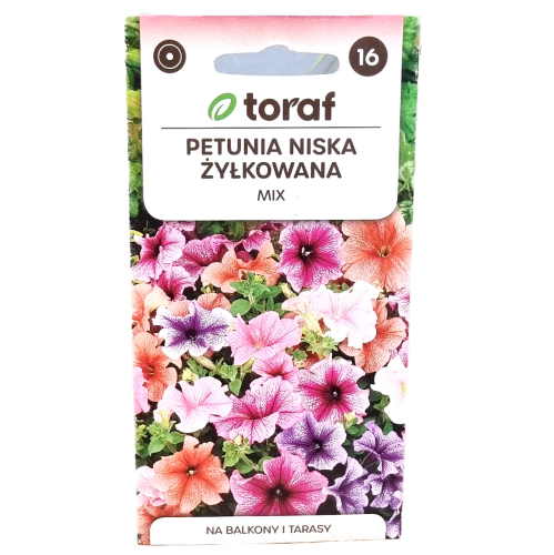 petunia-żyłkowana-1.png