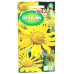 DZIELŻAN ogrodowy HOOPESII nasiona kwiatów 1g