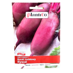 Burak ćwikłowy RYWAL F1 - podłużny czerwony - nasiona Plantico 10g