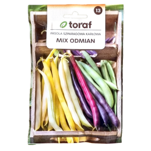 Fasola szparagowa MIX odmian i kolorów - nasiona Toraf 40g