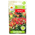 papryka-poupila-1.png