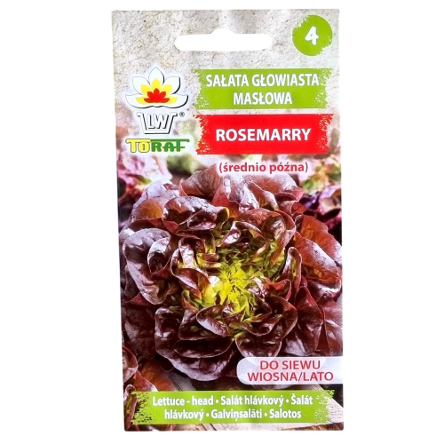 sałata-rosemary-1.png