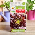 sałata-rosemary-2.jpg