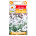 rozplenica-1.png