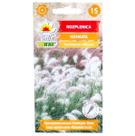 Trawa ozdobna ROZPLENICA KOSMATA - nasiona Toraf 12szt.
