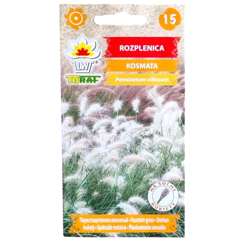 rozplenica-1.png