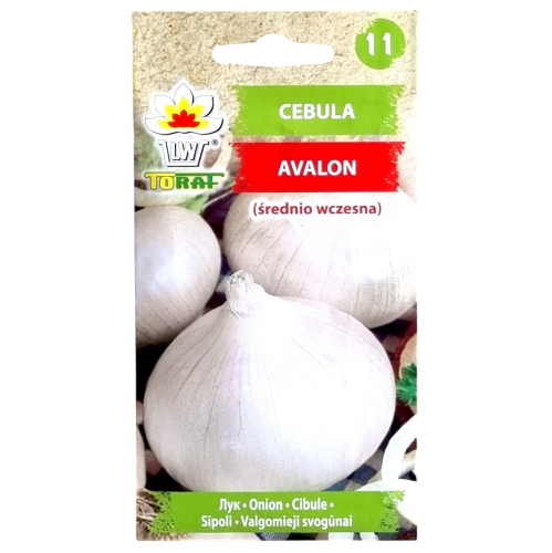cebula-avalon-1.png