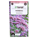 WERBENA PATAGOŃSKA Verbena bonariensis - nasiona kwiatów Toraf 0,2g